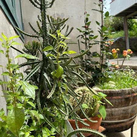 度假居 Casa Palumbo *