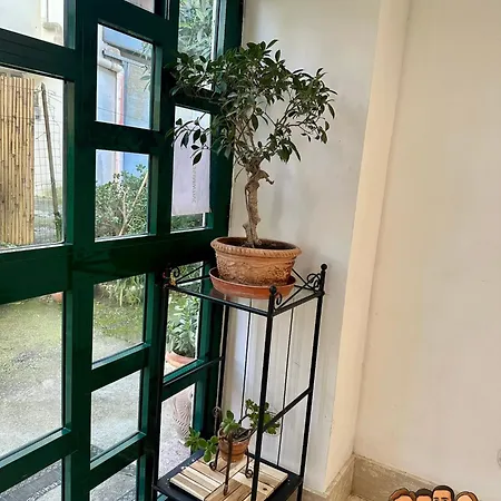 Casa Palumbo