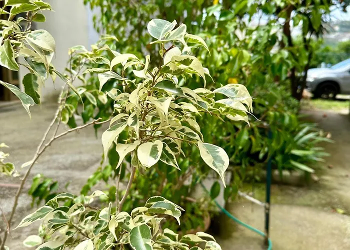 Casa Palumbo Сasa de vacaciones Bacoli